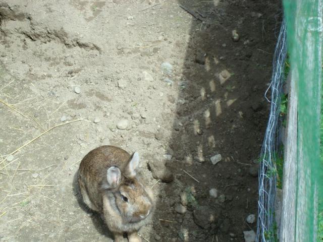 dsc03280.jpg