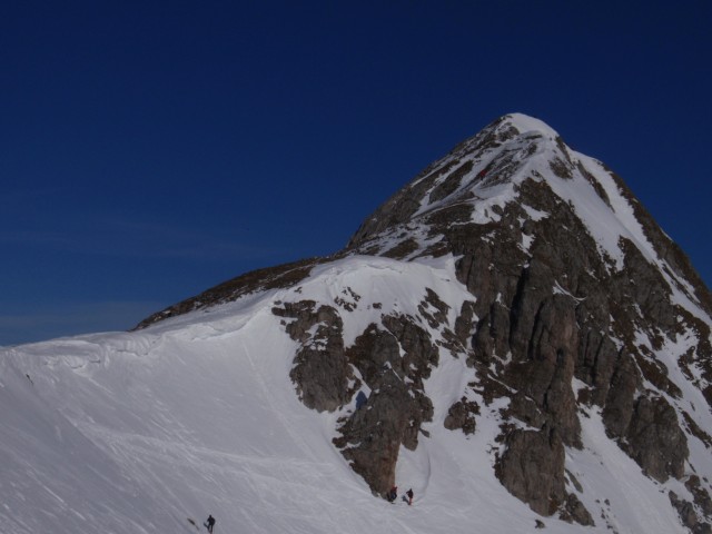 P2051897.jpg