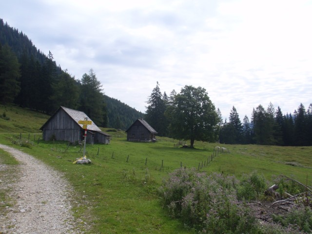 Buchsteinrunde20100818_12.JPG