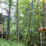 Buchsteinrunde20100819_28.JPG