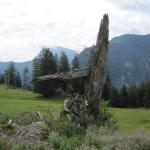 Buchsteinrunde 18.8.2010 019.JPG