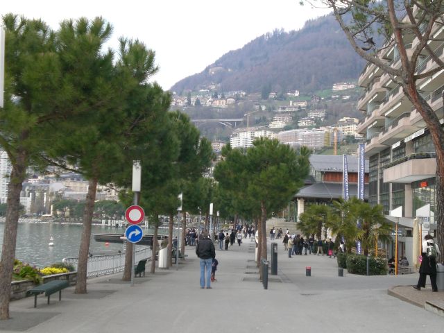 CIMG1539.JPG