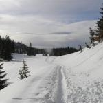 Erlaufsee-Gemeindealpe 008.jpg