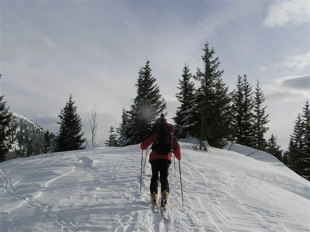 Erlaufsee-Gemeindealpe 014.jpg