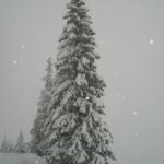 Winterlandschaft am Hahnenkamm