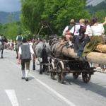 IMG_1029.JPG